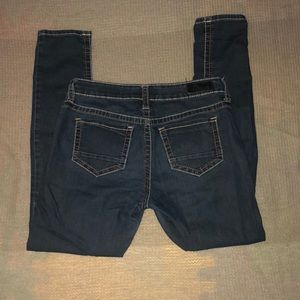 Buckle Daytrip Lynx High Rise Skinny Jean, dark wash, 29R, gently worn